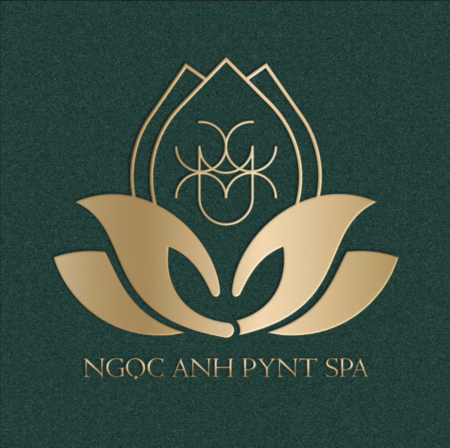 Ngoc Anh Pynt Spa